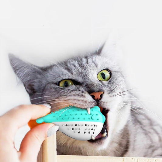 Minty Chew Toy Dental Cleaning Fun for Dogs